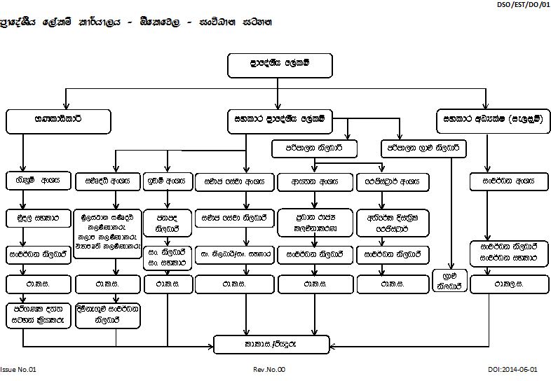 org chart sin